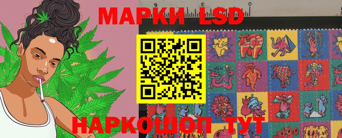 Берёзовский  Марки N-bome 1500мкг  продажа наркотиков  Вход с VPN  Марки N-bome 1500мкг 