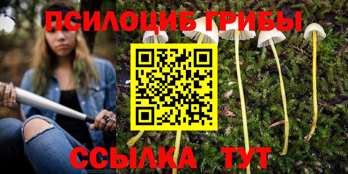 Берёзовский  Псилоцибиновые грибы ЛСД  наркота  Вход с VPN  Псилоцибиновые грибы прущие грибы 