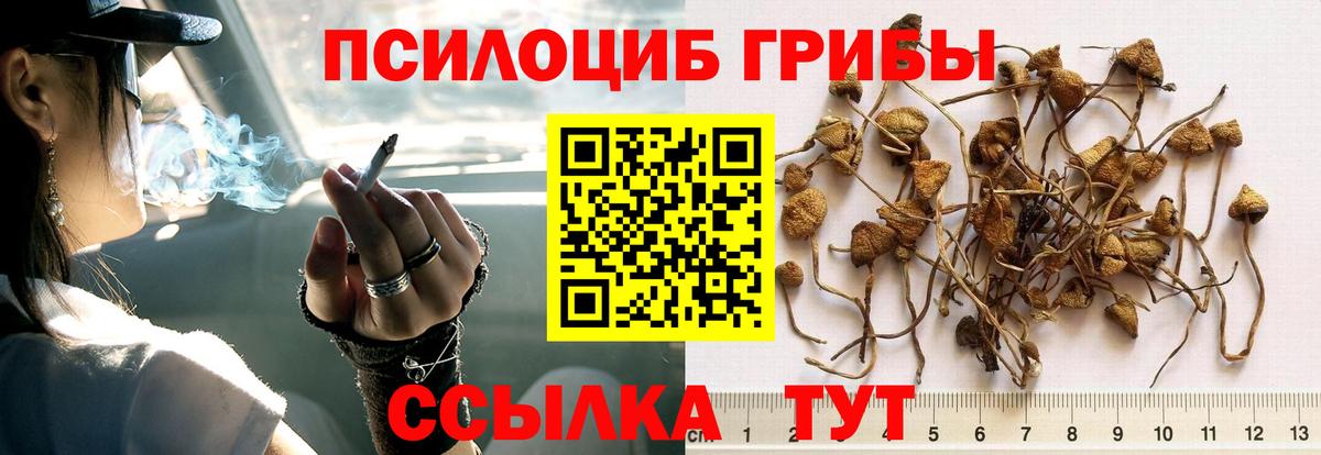 Марихуана  Гашиш  Каннабис  Меф МЯУ МЯУ  LSD-25  APVP СК кристаллы  Вход с VPN  Берёзовский  КОКАИН  Меф МЯУ МЯУ кристаллы 