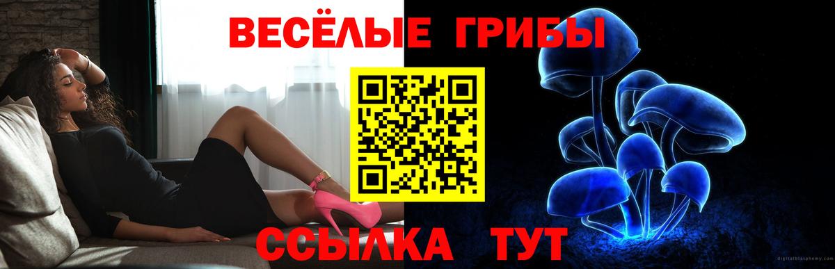 Галлюциногенные грибы Psilocybine cubensis  Берёзовский 